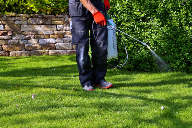 Best Lawn Pest Control  in Ionia, MI